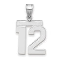 14kw Medium Polished Number 12 Charm