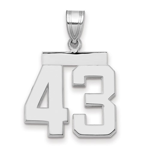 14kw Medium Polished Number 43 Charm