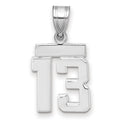 14kw Small Polished Number 13 Charm