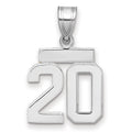 14kw Small Polished Number 20 Charm