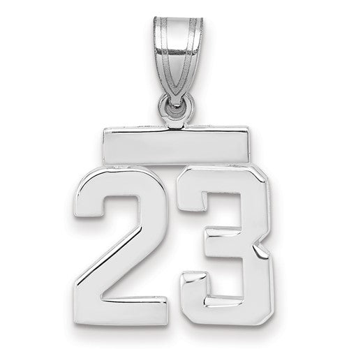 14kw Small Polished Number 23 Charm