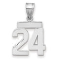 14kw Small Polished Number 24 Charm