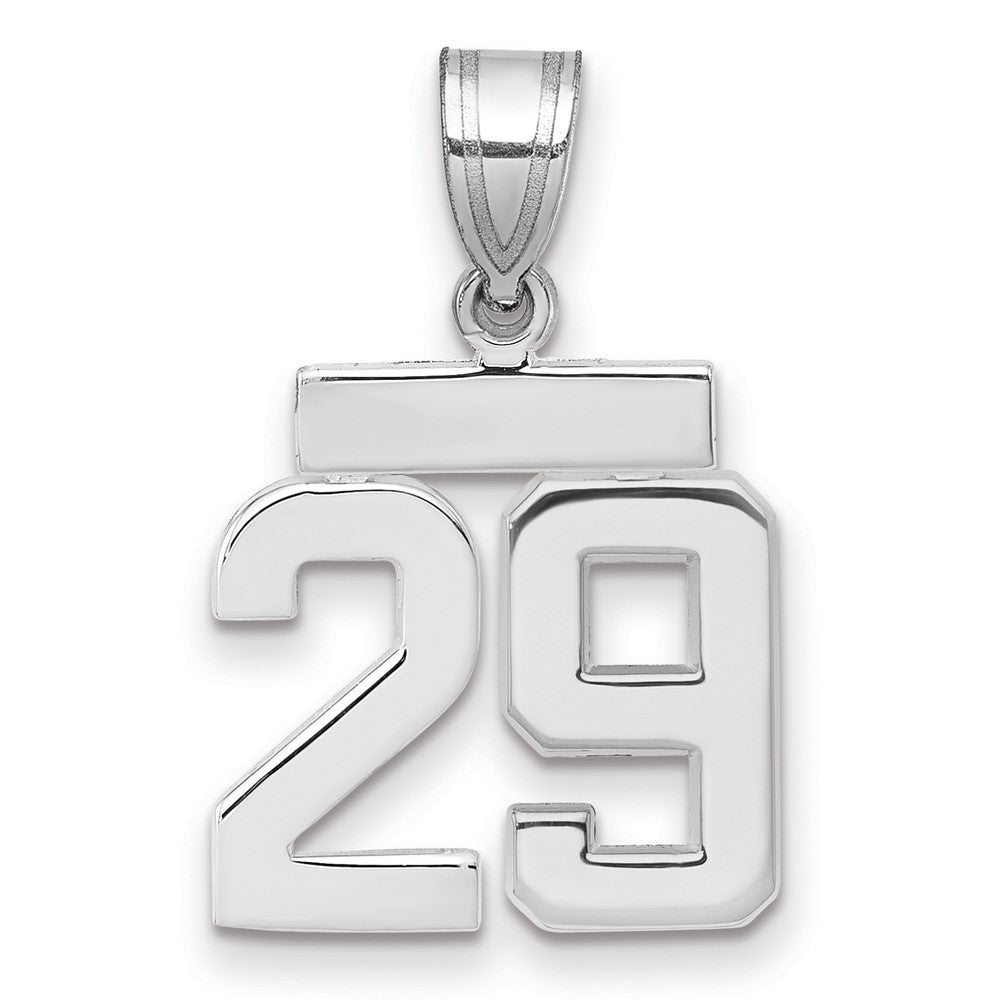14kw Small Polished Number 29 Charm