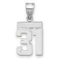 14kw Small Polished Number 31 Charm