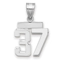 14kw Small Polished Number 37 Charm