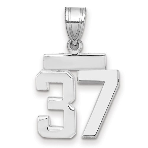 14kw Small Polished Number 37 Charm