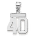 14kw Small Polished Number 40 Charm