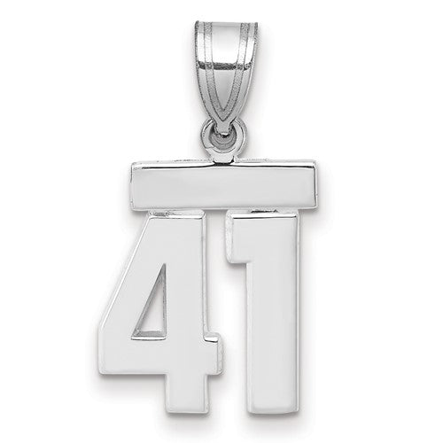 14kw Small Polished Number 41 Charm
