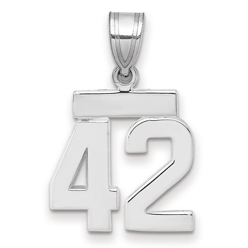 14kw Small Polished Number 42 Charm
