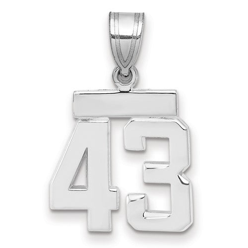 14kw Small Polished Number 43 Charm