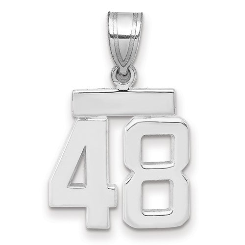 14kw Small Polished Number 48 Charm