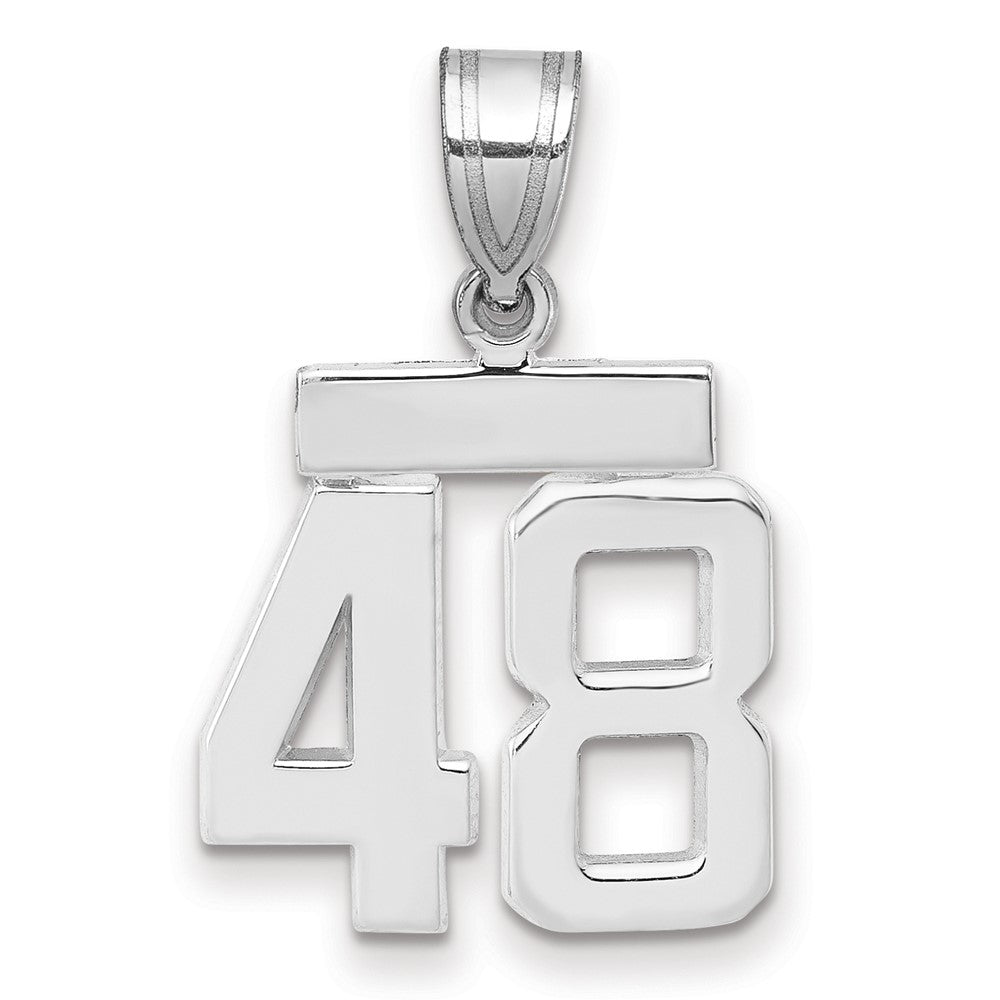 14kw Small Polished Number 48 Charm