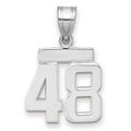 14kw Small Polished Number 48 Charm