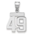14kw Small Polished Number 49 Charm