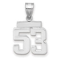 14kw Small Polished Number 53 Charm