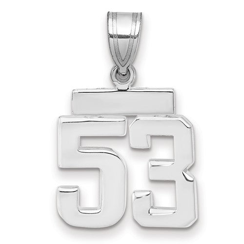 14kw Small Polished Number 53 Charm