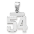 14kw Small Polished Number 54 Charm