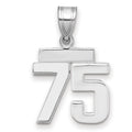 14kw Small Polished Number 75 Charm
