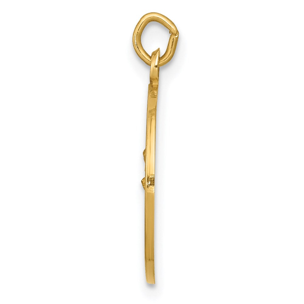 14k Our Lady of Perpetual Help Medal Charm