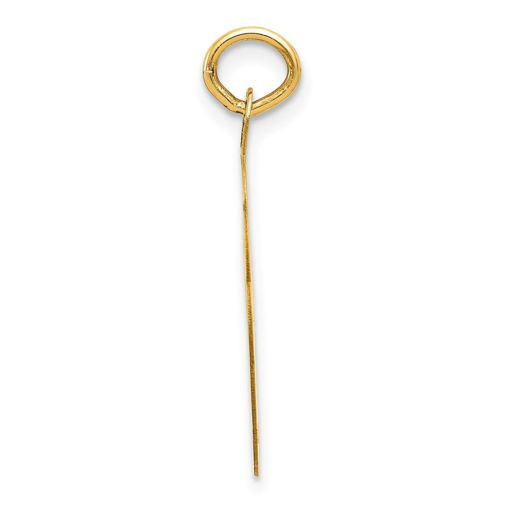 14k Swimming Disc Charm