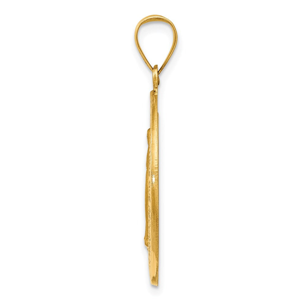 14k Polished and Satin Hollow Spanish Miraculous Medal Pendant