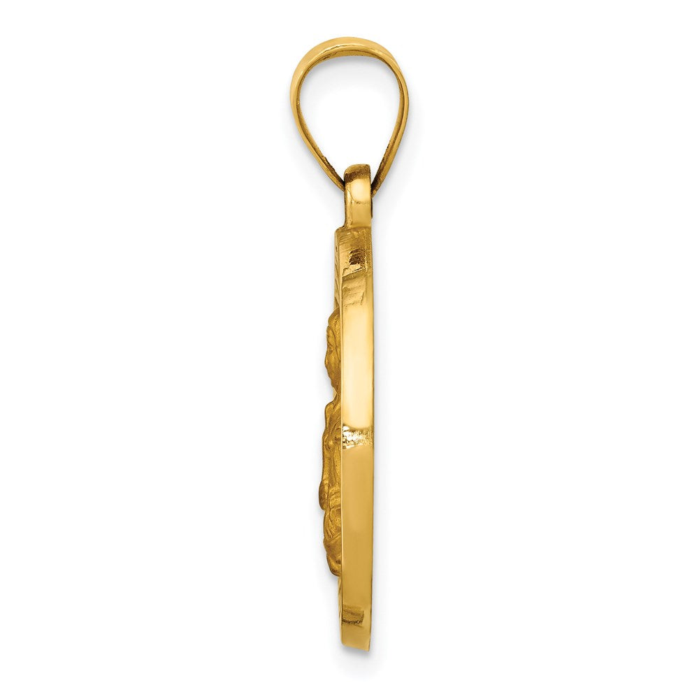 14K Polished/Satin St. Brigid Hollow Medal Pendant