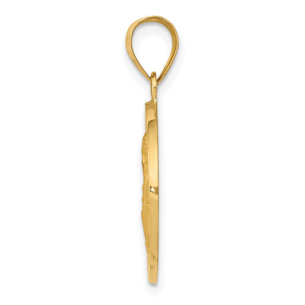 14K Polished / Satin St. Vincent Hollow Medal Pendant