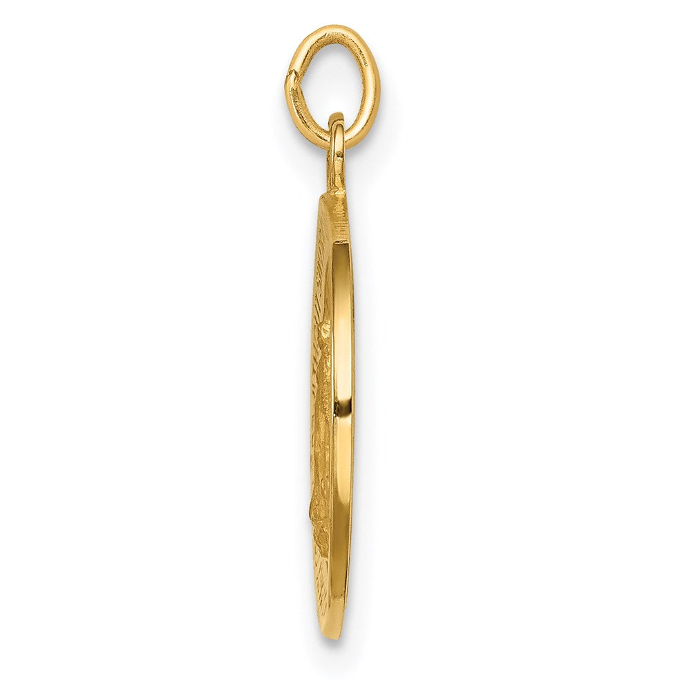14k Solid Polished/Satin Round Miraculous Medal