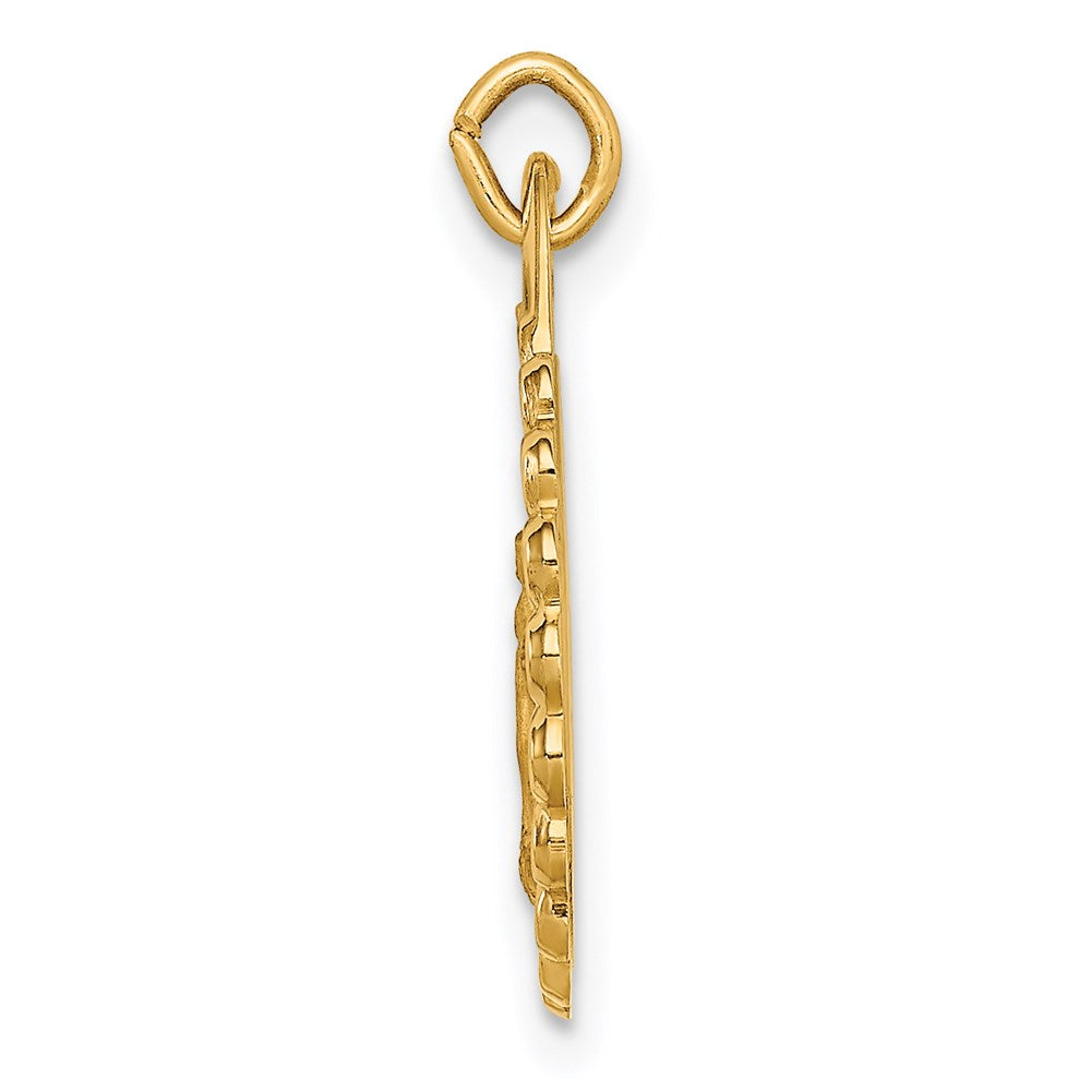 14k Solid Polished/Satin Small Round Scalloped Miraculous Medal