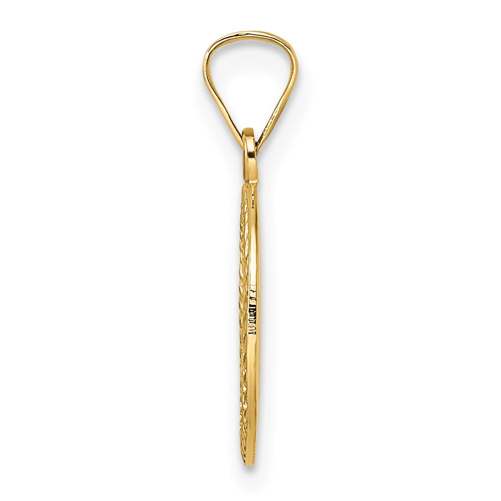 14k Polished and Textured Solid Star of David in Frame Pendant