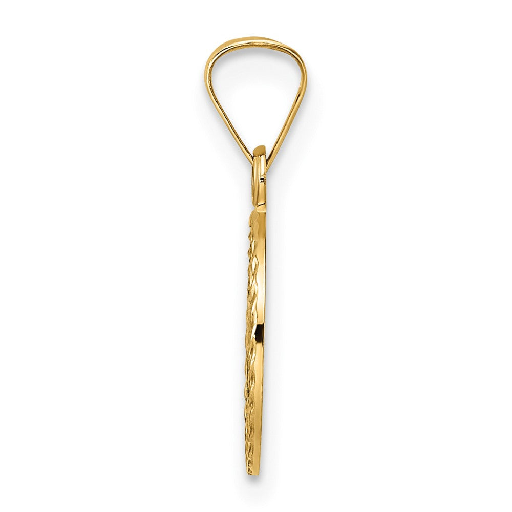 14k Polished Solid Enameled Star of David in Frame Pendant