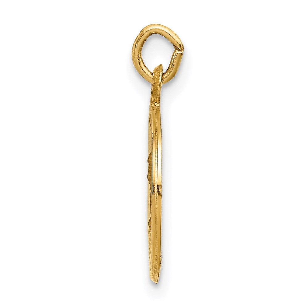 14k Saint Mark Medal Charm