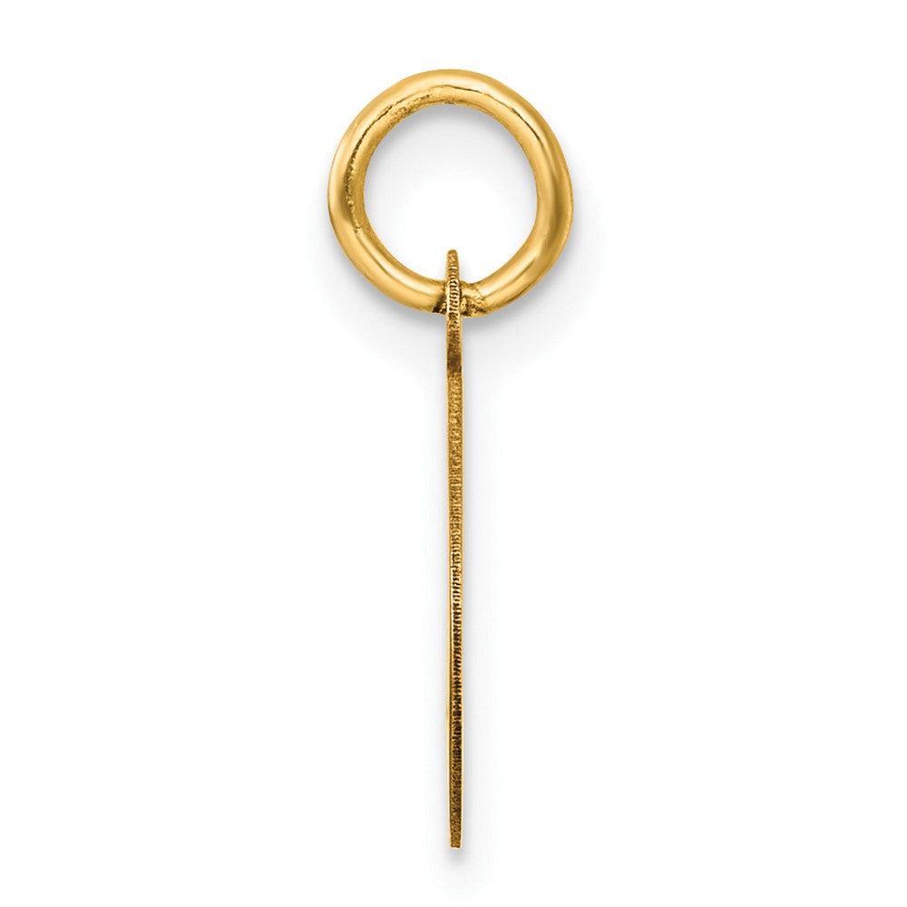 14k Polished Oval CLASS OF 2026 Charm